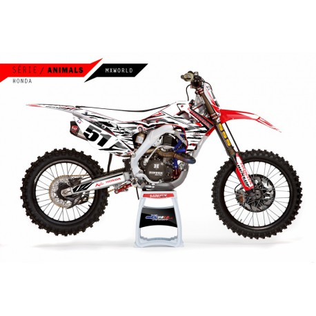 KIT ABC CRF serie ANIMALS