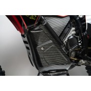 PROTECTION MOTEUR EN CARBONE pour STARK VARG STARK VARG