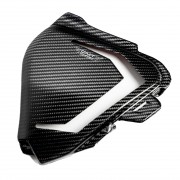 PROTECTION DU BOÎTIER DU FILTRE EN CARBONE pour TRIUMPH TF 250 X 2024