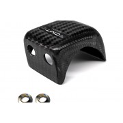 PROTECTION DE JAMBE DE FOURCHE EN CARBONE pour TRIUMPH TF 250 X 2024
