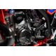 PROTECTION D'ALLUMAGE EN CARBONE pour BETA RR 2T 300 2020 - 2021