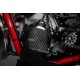 PROTECTION D'ALLUMAGE EN CARBONE pour BETA RR 2T 300 2020 - 2021