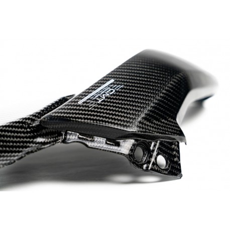 ENSEMBLE DE PANNEAUX LATÉRAUX AVANT EN CARBONE pour DUCATI 698 MONO 2024 - 2025