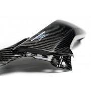 ENSEMBLE DE PANNEAUX LATÉRAUX AVANT EN CARBONE pour DUCATI 698 MONO 2024 - 2025