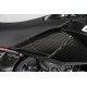 ENSEMBLE DE PANNEAUX LATÉRAUX AVANT EN CARBONE pour DUCATI 698 MONO 2024 - 2025