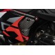 PANNEAUX LATÉRAUX EN CARBONE pour DUCATI 698 MONO 2024 - 2025
