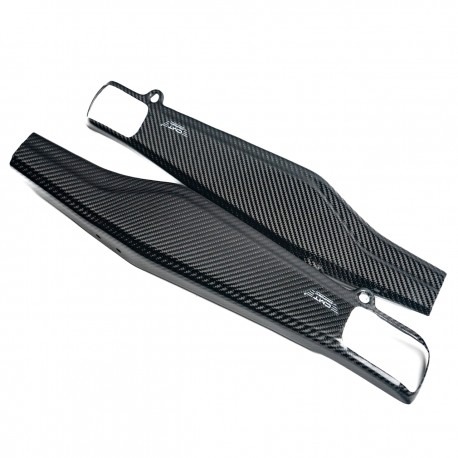 PROTECTEURS DE BRAS OSCILLANT EN CARBONE pour DUCATI 698 MONO 2024 - 2025