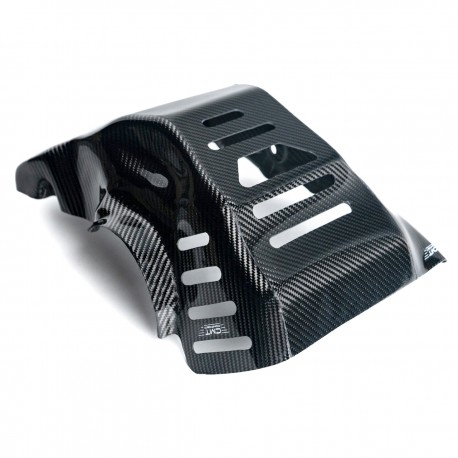 PROTECTION MOTEUR EN CARBONE pour DUCATI 698 MONO 2024 - 2025
