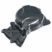PROTECTION D'ALLUMAGE EN CARBONE pour DUCATI 698 MONO 2024 - 2025