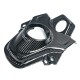 PROTECTION DU RÉSERVOIR EN CARBONE pour DUCATI 698 MONO 2024 - 2025
