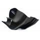 PROTECTION MOTEUR EN CARBONE pour DUCATI DESMO 450 MX