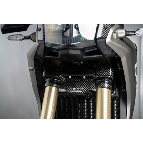 PROTECTIONS DE PLAQUES DE FOURCHE AVANT pour YAMAHA TENERE 700 2025